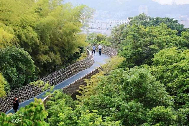 横贯福州市中心的蛇山,梅峰山,金牛山等山体,将左海公园,梅峰山地