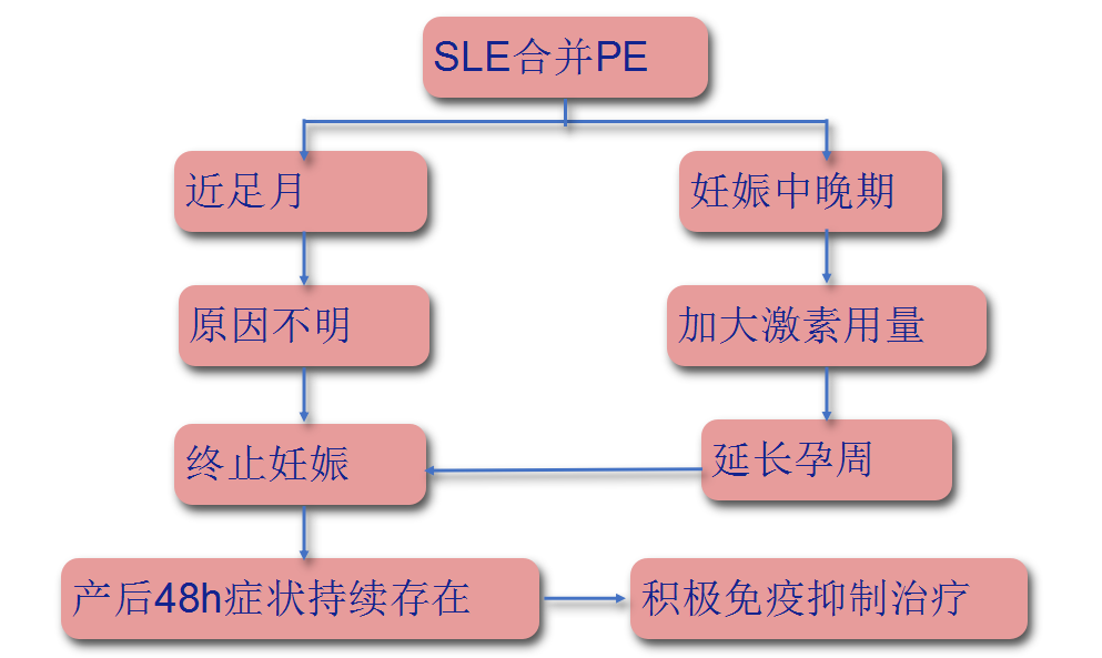 每周一课宋亦军教授妊娠合并系统性红斑狼疮孕期管理