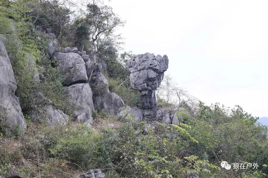 探秘阆苑石海,挖矿寻宝,走进蜜蜂王国,开启"甜蜜"之旅