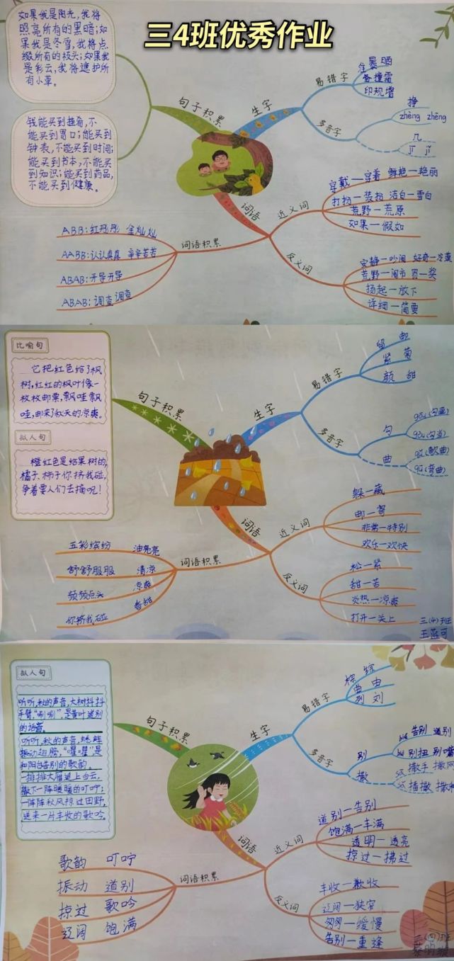 指导学生把容易出现错误的知识点,以思维导图的形式进行归类,学生们