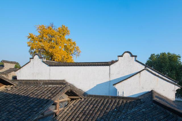 无锡惠山古镇最美秋色出片地你知道几个