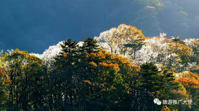 安徽金寨马鬃岭山头上看到的