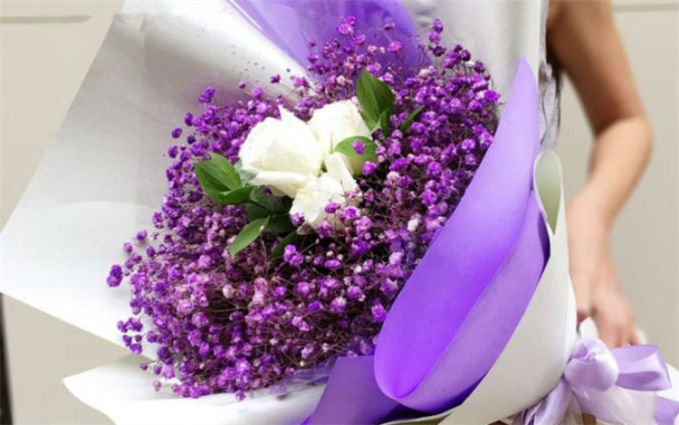 紫色满天星的花语是思念甘愿做配角的爱
