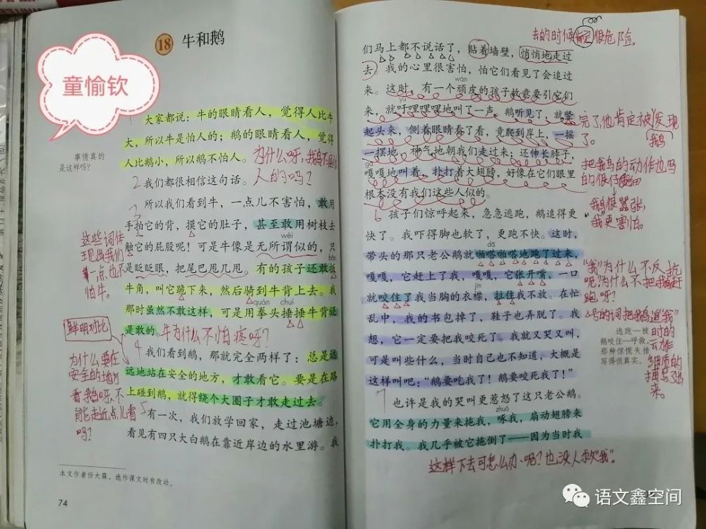 统编四上《牛和鹅》学生阅读批注分享_腾讯新闻