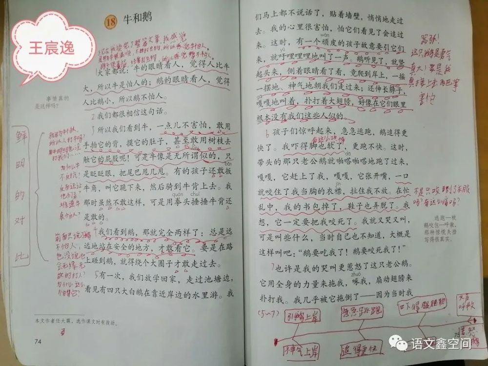 统编四上《牛和鹅》学生阅读批注分享_腾讯新闻