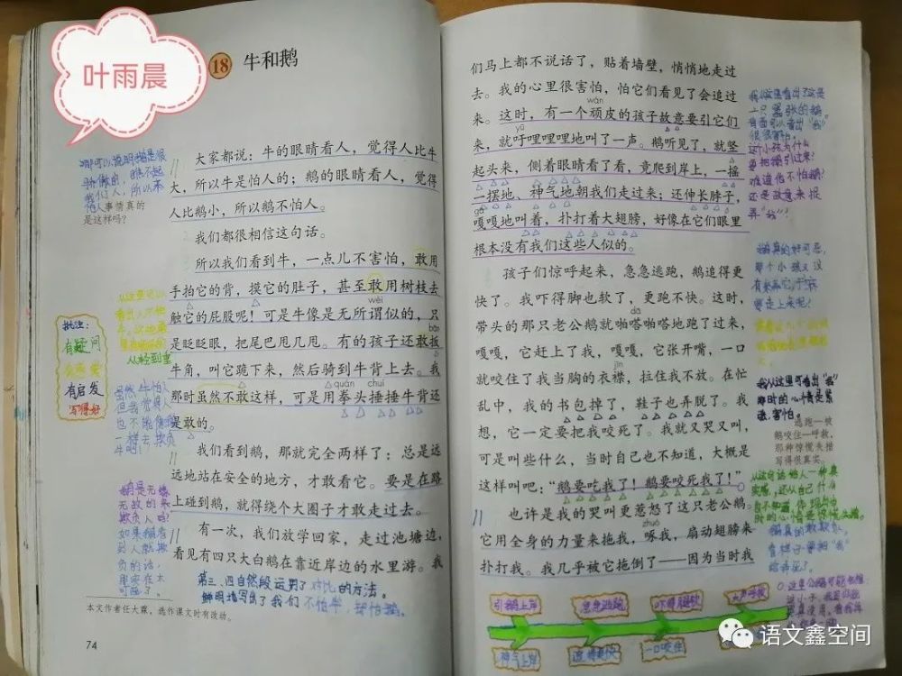 统编四上《牛和鹅》学生阅读批注分享