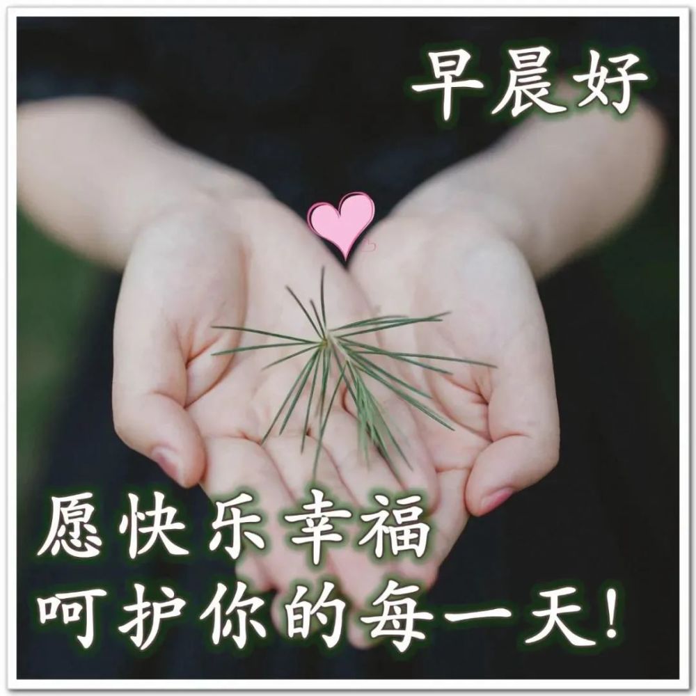 11月19日最新早上好动态表情图片大全清晨愉快问候语句子