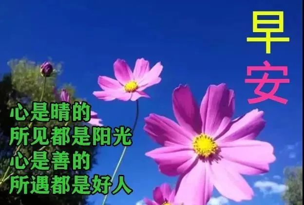 清晨早安问候祝福语说说早安心语暖心句子