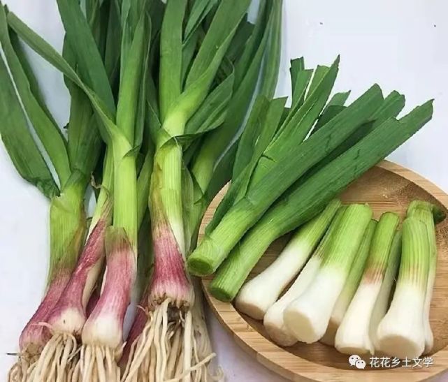 哪怕做个椒盐炸小河虾也要放一把大蒜叶,不过,红红绿绿,倒是搭配得很