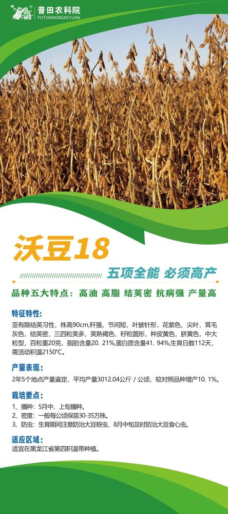 大豆系列五项全能必须高产沃豆18