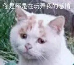 猫猫表情包|人家就想粘着你