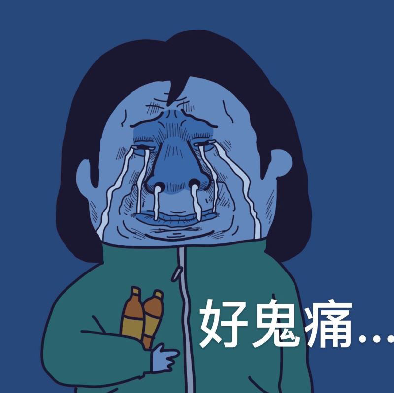 吴大友表情包