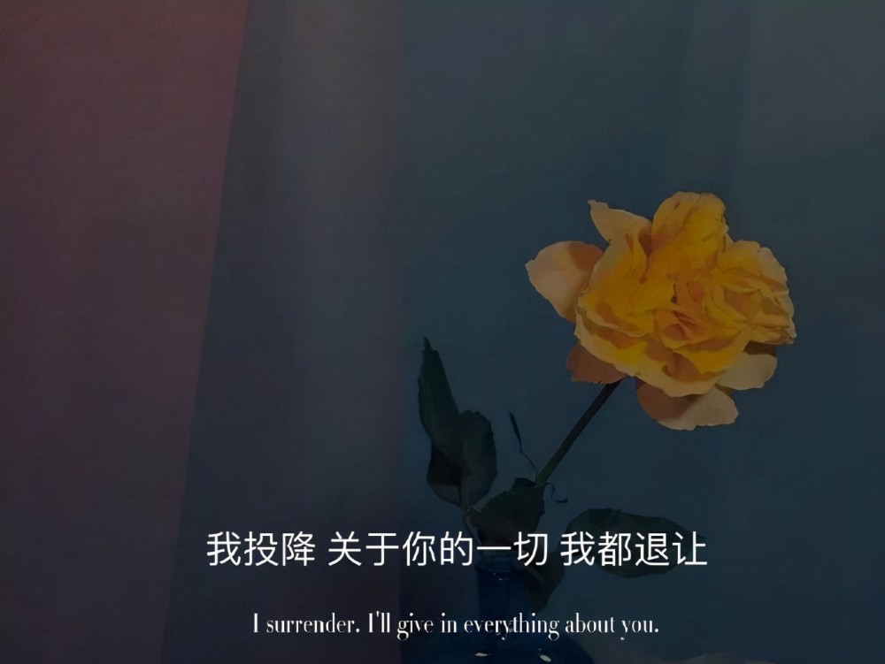 背景图爱与不爱都要坦诚总会有偏爱和例外