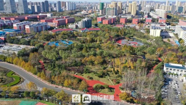 可谓一步一风景,日照大学科技园公园环境优美宜人,日照大学科技公园给