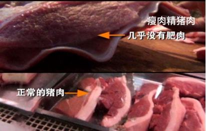 食品安全很重要 猪肉学会这样挑