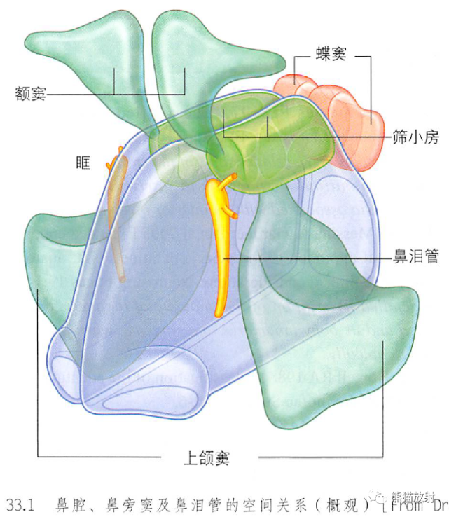 t2wi)经鼻腔冠状切面蝶窦,冠状ct经窦口鼻道复合体冠状ct筛窦