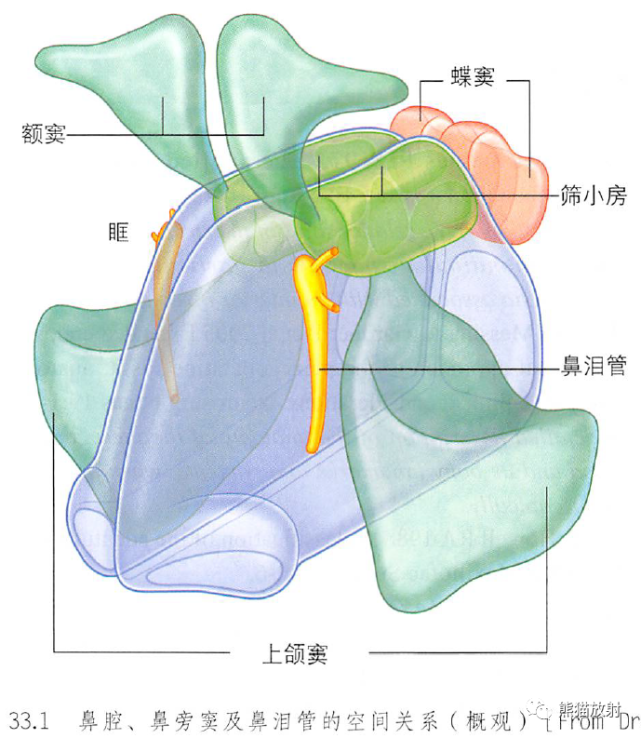 矢状面扫描(ct,t2wi)经鼻腔冠状切面蝶窦,冠状ct经窦口鼻道复合体冠状