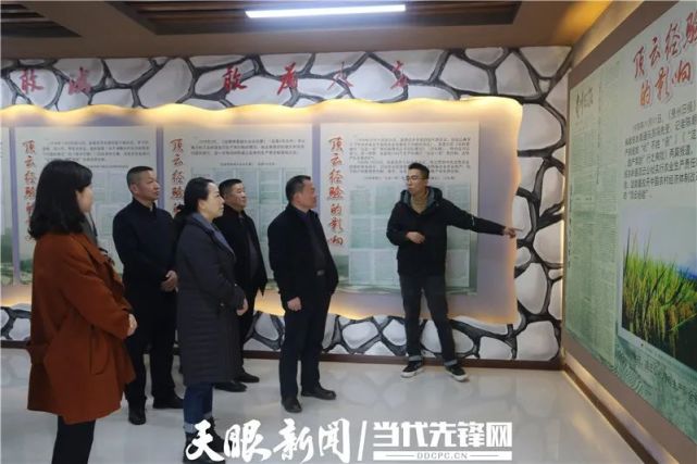 【东西部协作】广州市协作办副主任陈震到关岭调研东西部协作工作推进