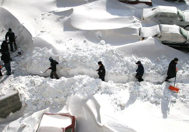 东北遭遇"台风雪" 近两日,东北的大雪刷屏了.