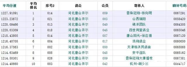 三关鸽王又飞四关亚军开尔杯四关鸽王鉴赏