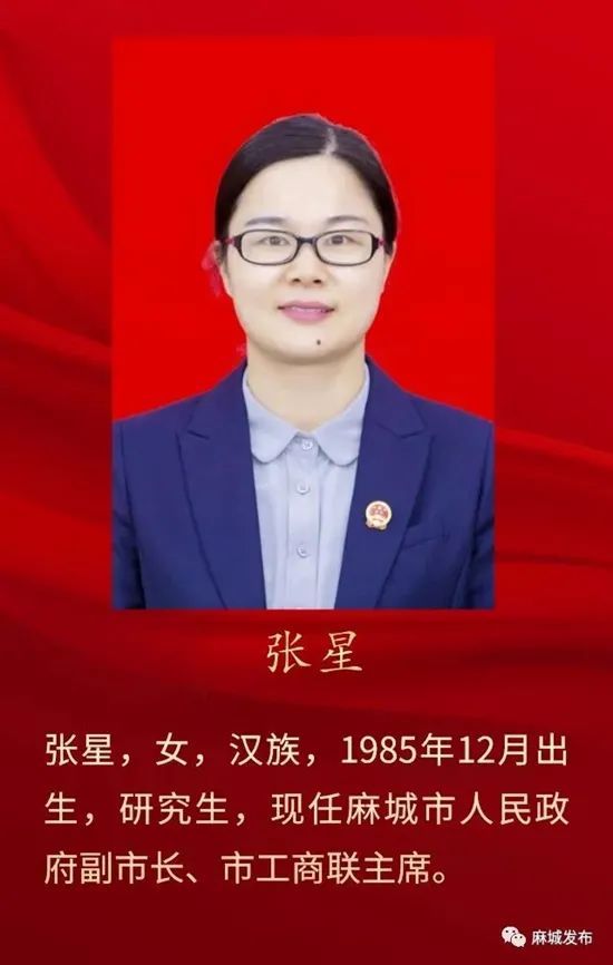 裴永波当选麻城市人民政府市长,叶旭,程伟,张星,陈琪,洪为民,吴静