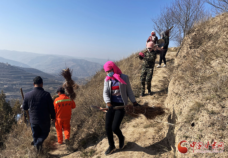 甘肃静宁植树造林抚绿意山川秀美是吾乡