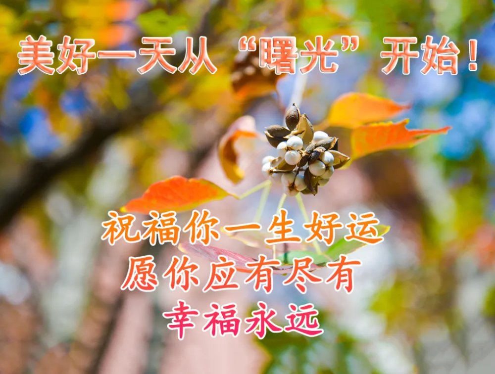 初冬清晨早安问候语动态表情图片最美的早上好问候祝福语