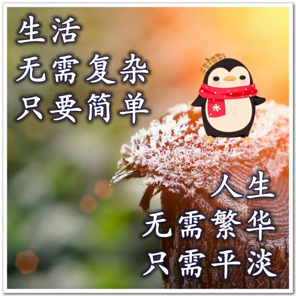 初冬清晨早安问候语动态表情图片最美的早上好问候祝福语