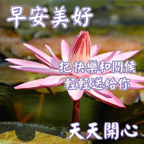 朋友,祝你早安快乐!