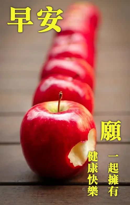 早安问候朋友的句子新的一天早安问候语