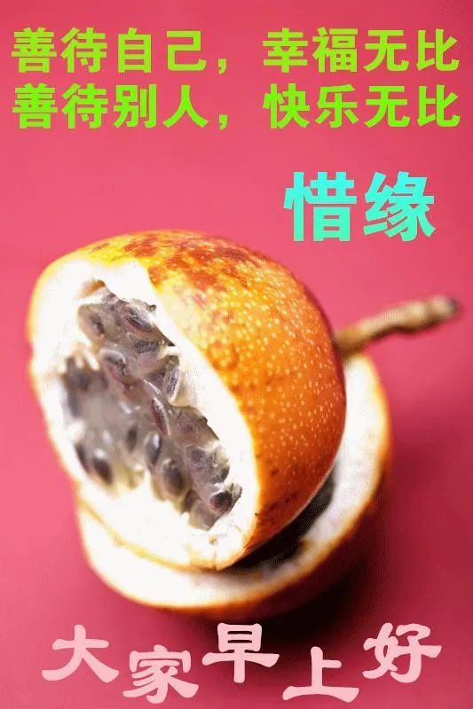 2021早上好问候祝福语图片大全,早上好动态表情图片