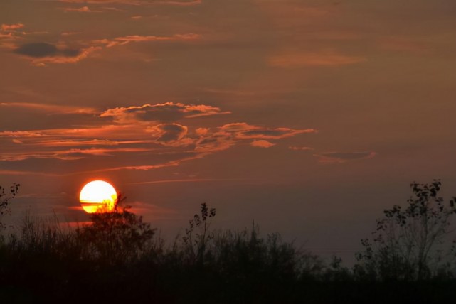 马致远一句话就写出了很多诗人日暮的感触"夕阳西下,断肠人在天涯.