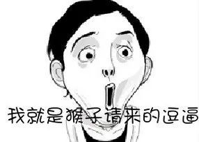 表情包重要的事情说三遍你是猴子请来的逗逼吗
