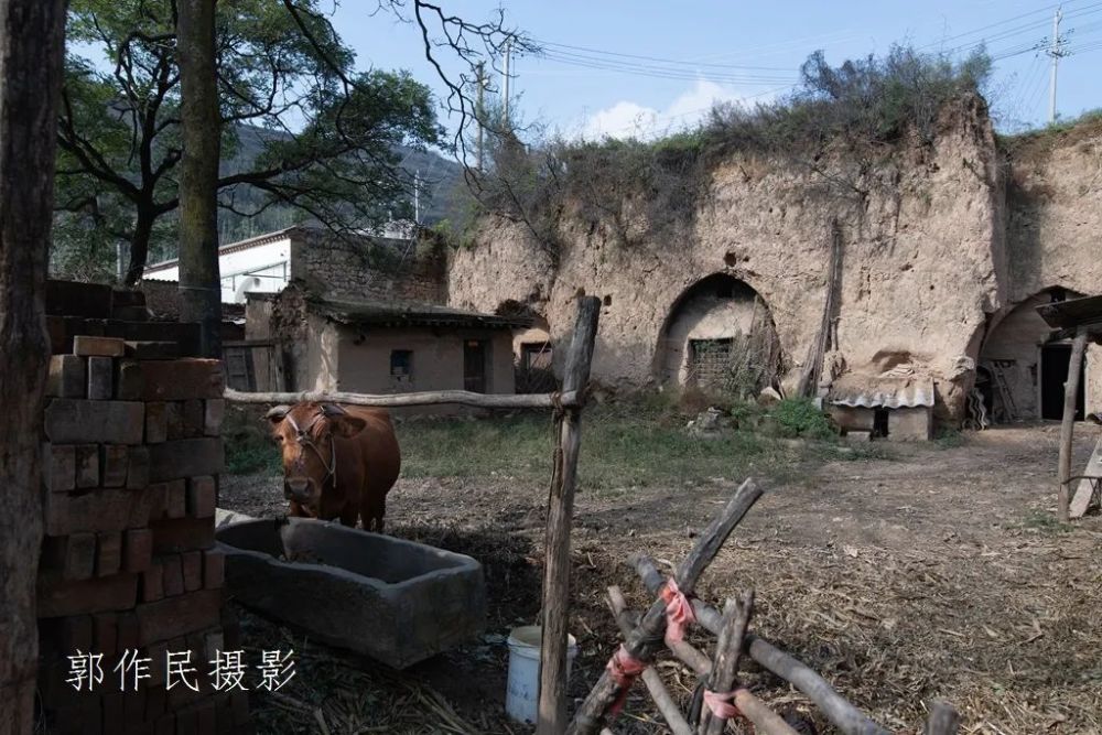 黄土地,山沟沟