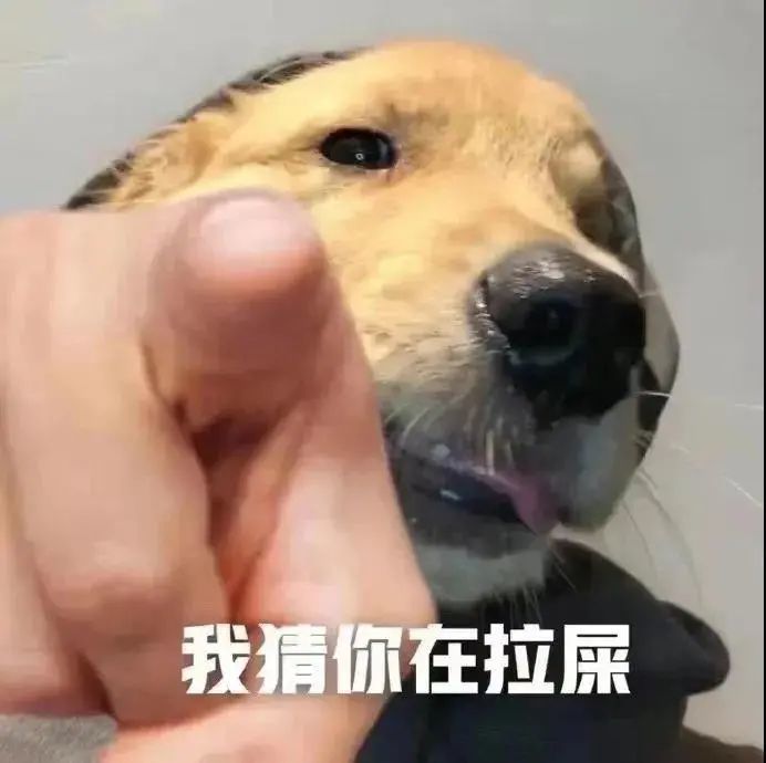 聊天表情包i我猜你在拉屎