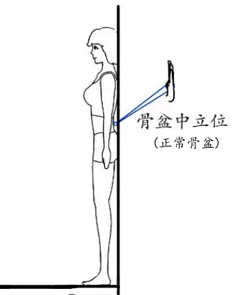 如何锻炼改善骨盆前倾1,赤足踩书赤足,前脚掌踩一本20毫米厚度的书