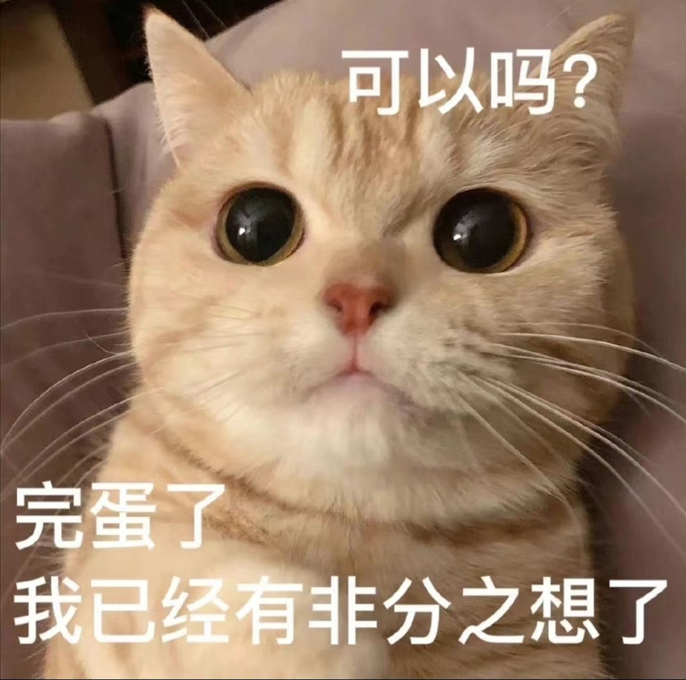 馋猫表情包咸猫手