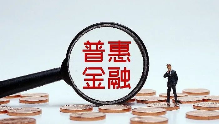 政策简报丨孙文凯普惠金融政策效果问题与对策