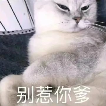 表情包就你长了张嘴