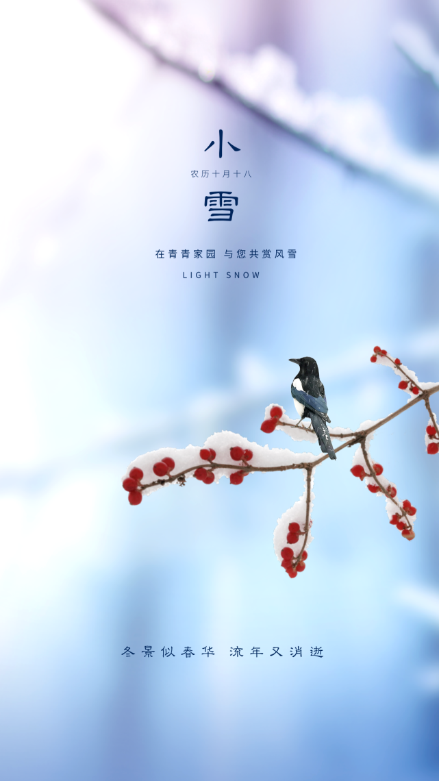 小雪节气祝福语文案带小雪节气精美图片