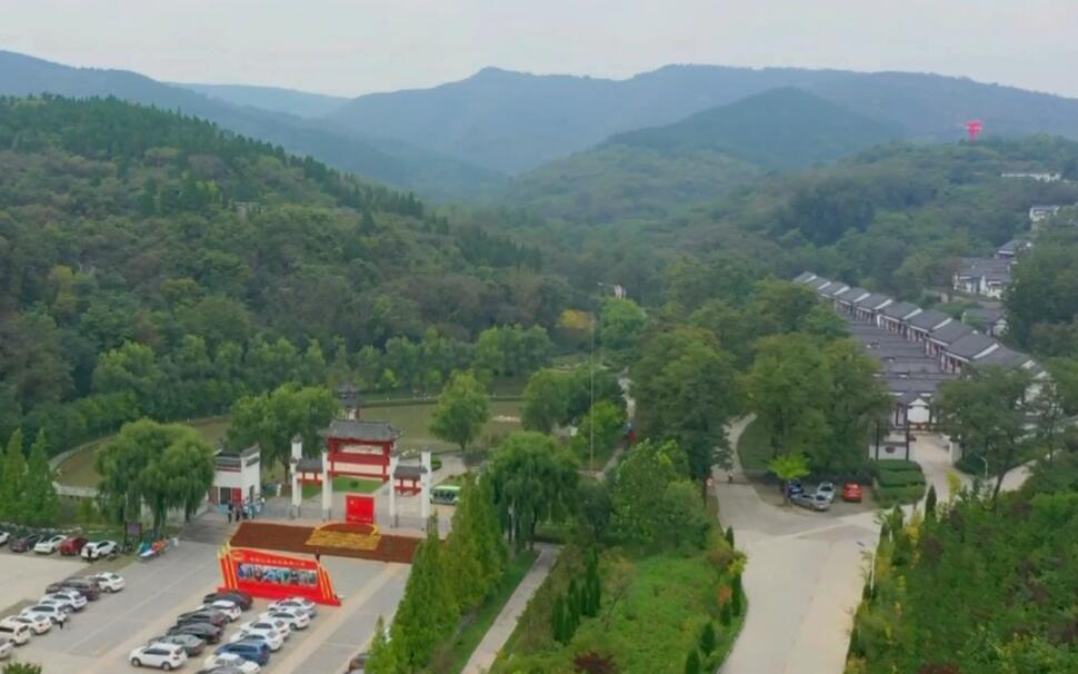 行进在共同富裕的道路上淄博原山林场成为全国国有林场改革试