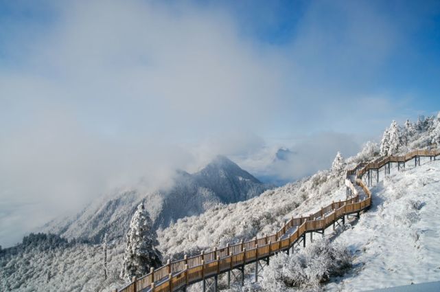 西岭雪山景区内有终年积雪的大雪山,海拔在5364米左右,成功为成都第一