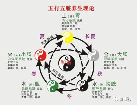 天有五运六气,人有五脏六腑,乐有五音六律,天人合一论的数理法则