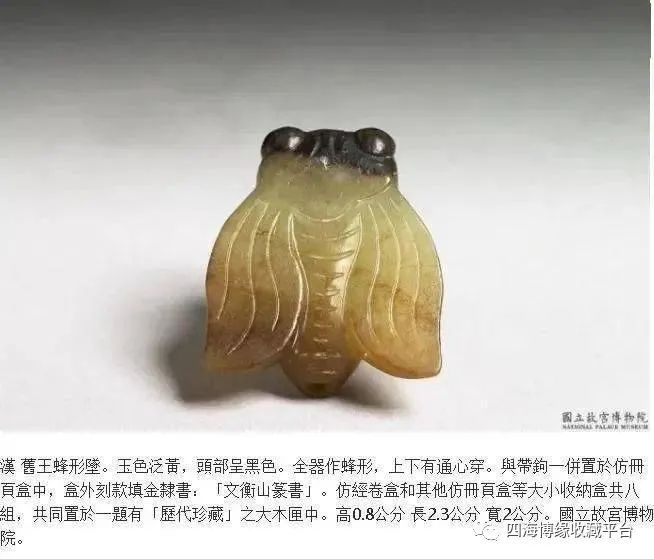 浅论汉代玉蝉