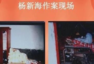 河南采花大盗杨新海伏法记:23名女子惨遭毒手,2004年被执行死刑
