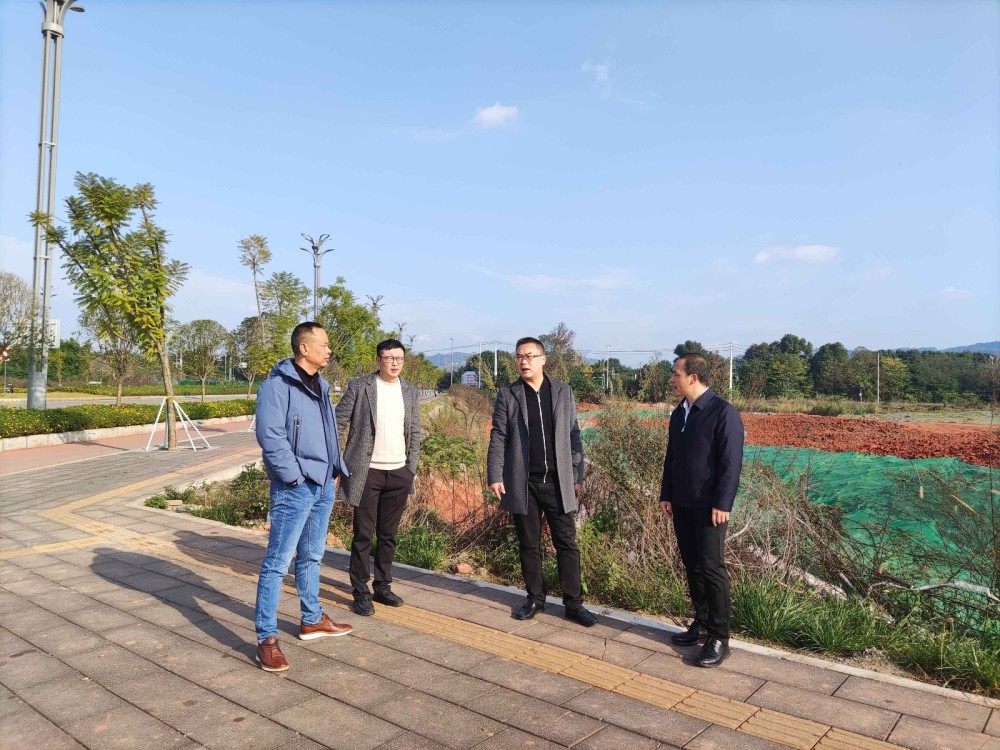 沈伟同志检查青白江区重点管控区域重污染天气应对工作
