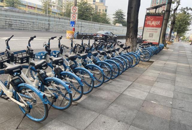 哈啰出行推出"0530城市保障行动",助力东莞城市环境