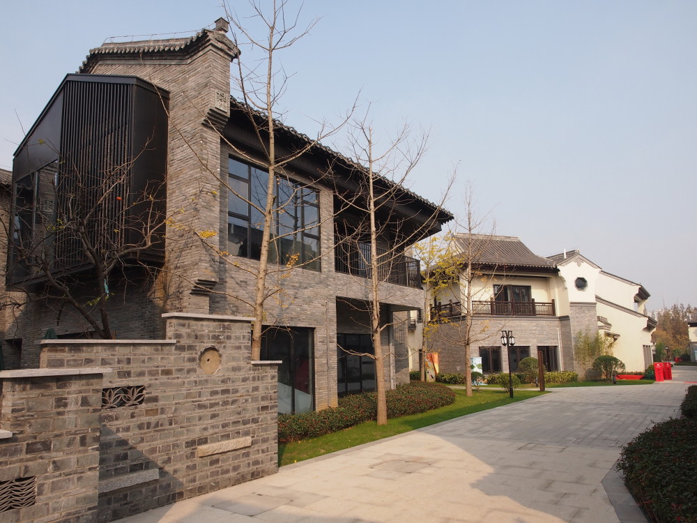 合肥市庐江县水西门商业街区(二)