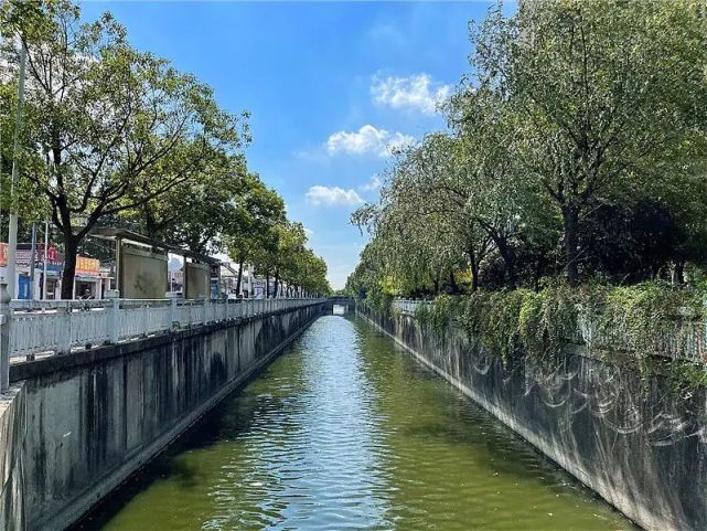 "立冬刚过,气温骤降寒风劲吹,但海安街道曙光社区的巡河工作却开展得