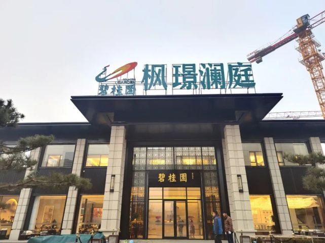 葫芦岛碧桂园枫璟澜庭项目展示区荣誉锦旗项目铁军针对各项问题集思